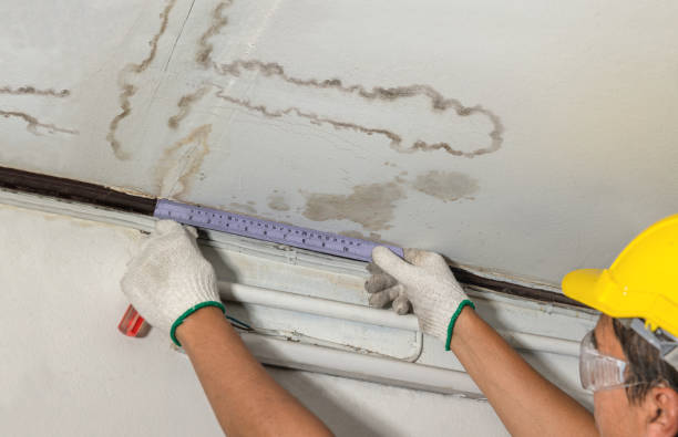 Reliable Water Damage contractor in Macomb, IL by Water Damage Irwin